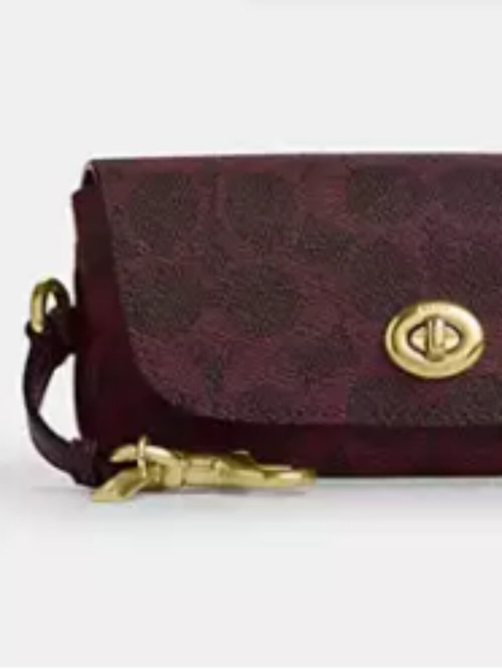 Sunglass Case In Signature Canvas - Picture 2 of 3